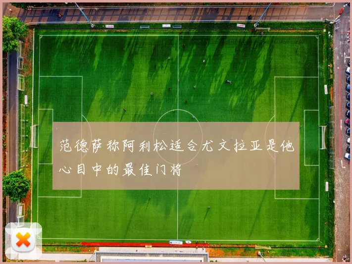 范德萨称阿利松适合尤文拉亚是他心目中的最佳门将