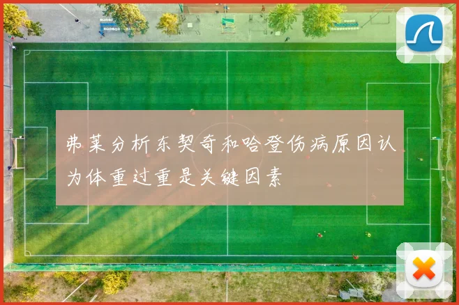 弗莱分析东契奇和哈登伤病原因认为体重过重是关键因素